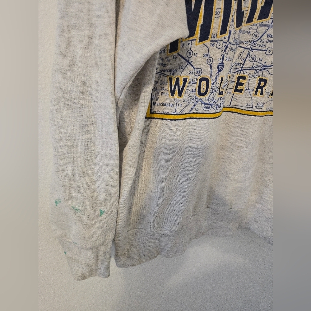 Vintage 90s Michigan Wolverines University Sweatshirt City Map Mens XL TSI Natur - Picture 4 of 9